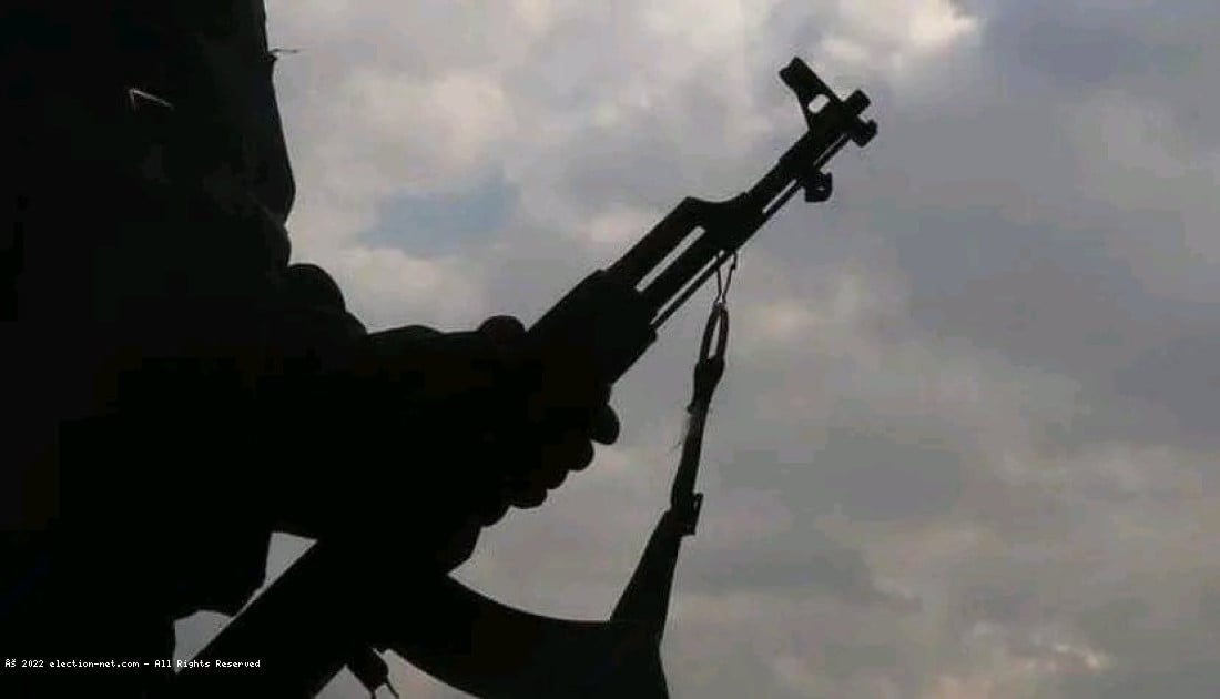 Beni : deux miliciens maï-maï capturés par l'armée à Mangina