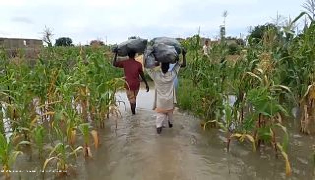 Kongo-central: environ 2000 hectares de champs dévastés par des inondations
