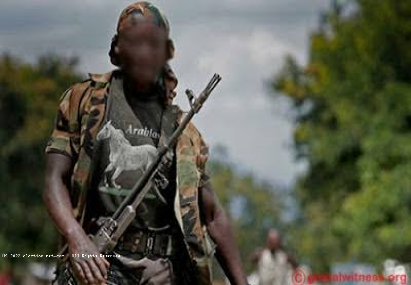 RDC : les Mai-Mai règnent en maître sur les civils à Malemba-Nkulu