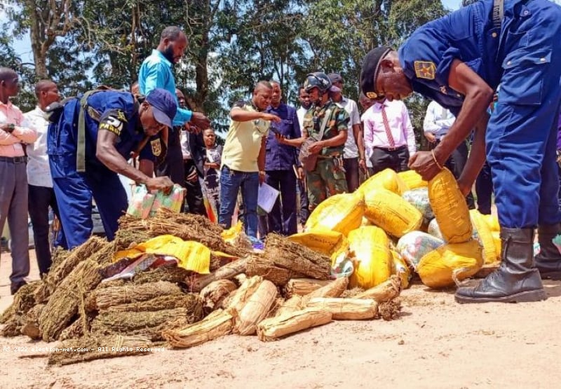 Lomami : nouvelle saisie de chanvre à Mwene-Ditu