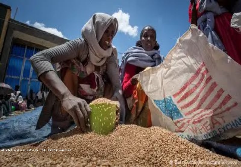 L'USAID en pause : quelles conséquences pour l'Afrique ?