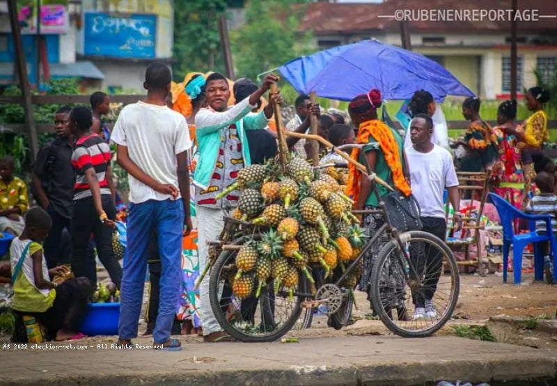 Kananga : la surproduction d'ananas face à l'impraticabilité des routes