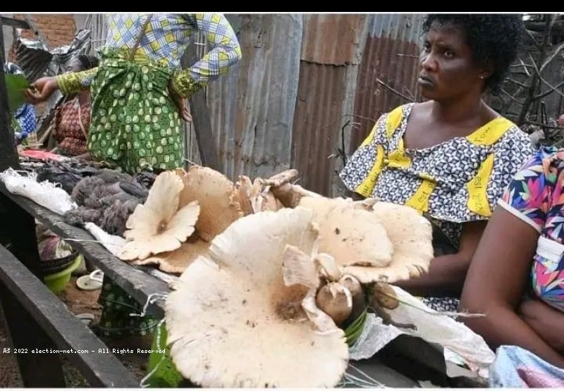 Kananga : Le marché Tshinseleka en souffrance, appel à l’aide