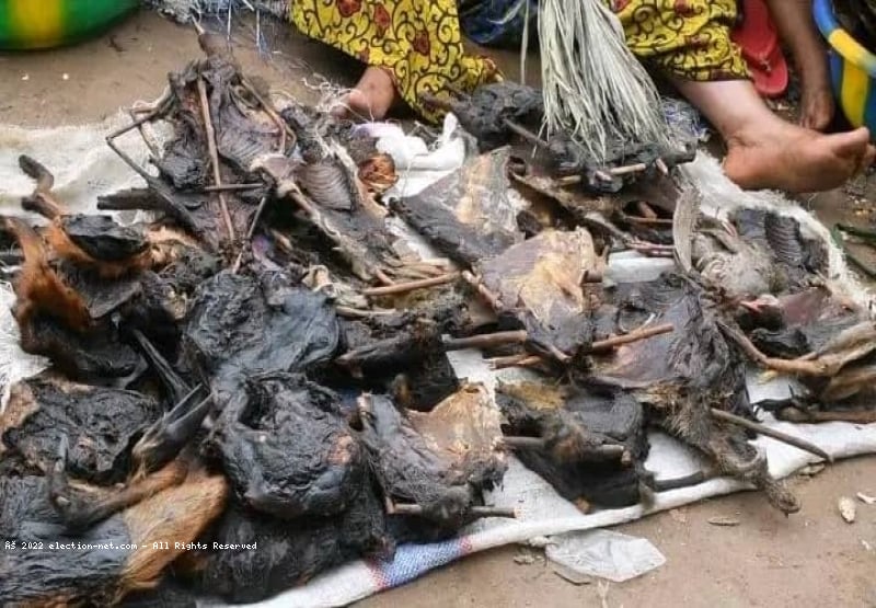 Kananga : interdire la viande de brousse, à quel prix ?