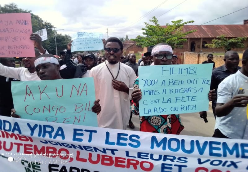 RDC/Les coulisses de l'activisme : entre conviction et compromission