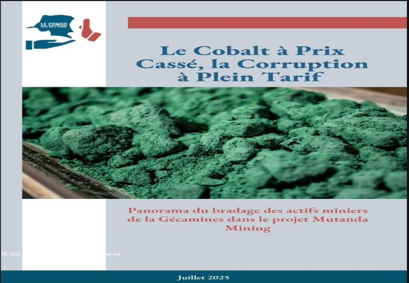 RDC/Cobalt : opacité et milliards perdus dans l'affaire Mutanda Mining révélés dans un rapport accablant du CNPAV