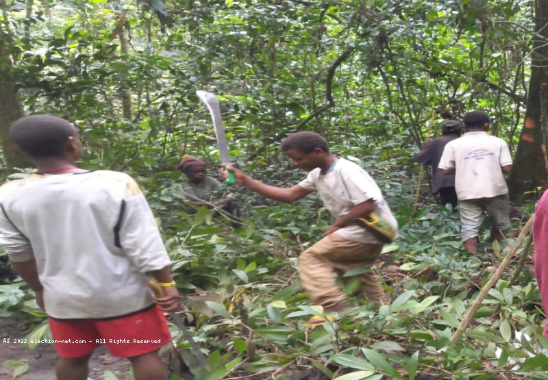 Ituri : les Pygmées, main-d’œuvre cruciale mais vulnérable