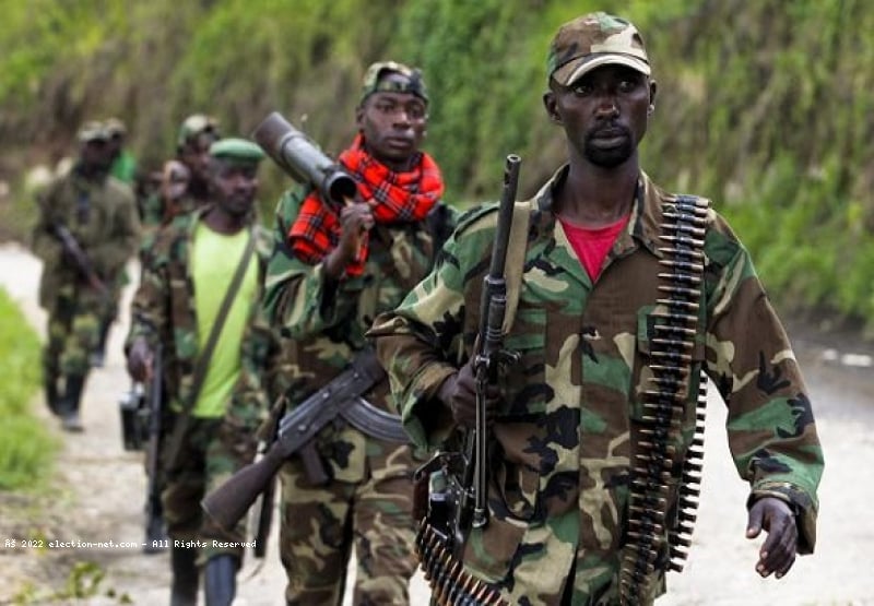 Est de la RDC : les FDLR exigent le dialogue avec Kigali avant leur reddition