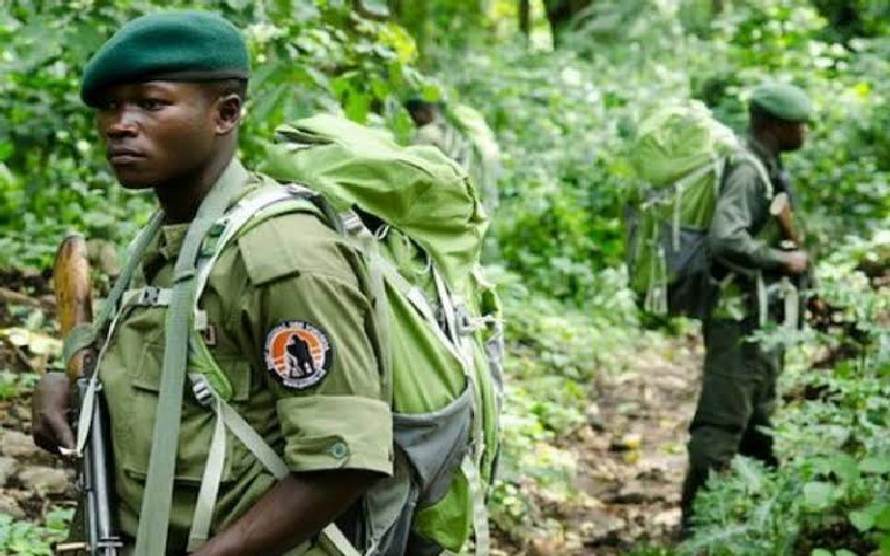 Nord-Kivu : nouvelle attaque des miliciens mai-mai contre les écogardes