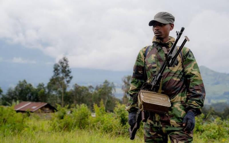 Guerre à l'Est : vers la reprise des hostilités entre M23 et FARDC ?