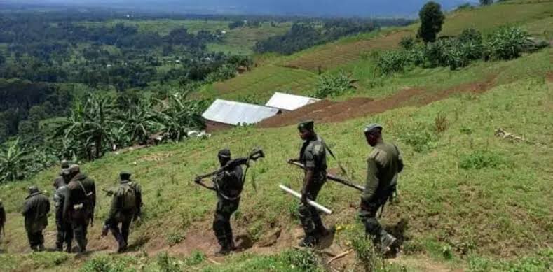 Beni : deux  combattants ADF neutralisés et un ougandais capturé par l'armée